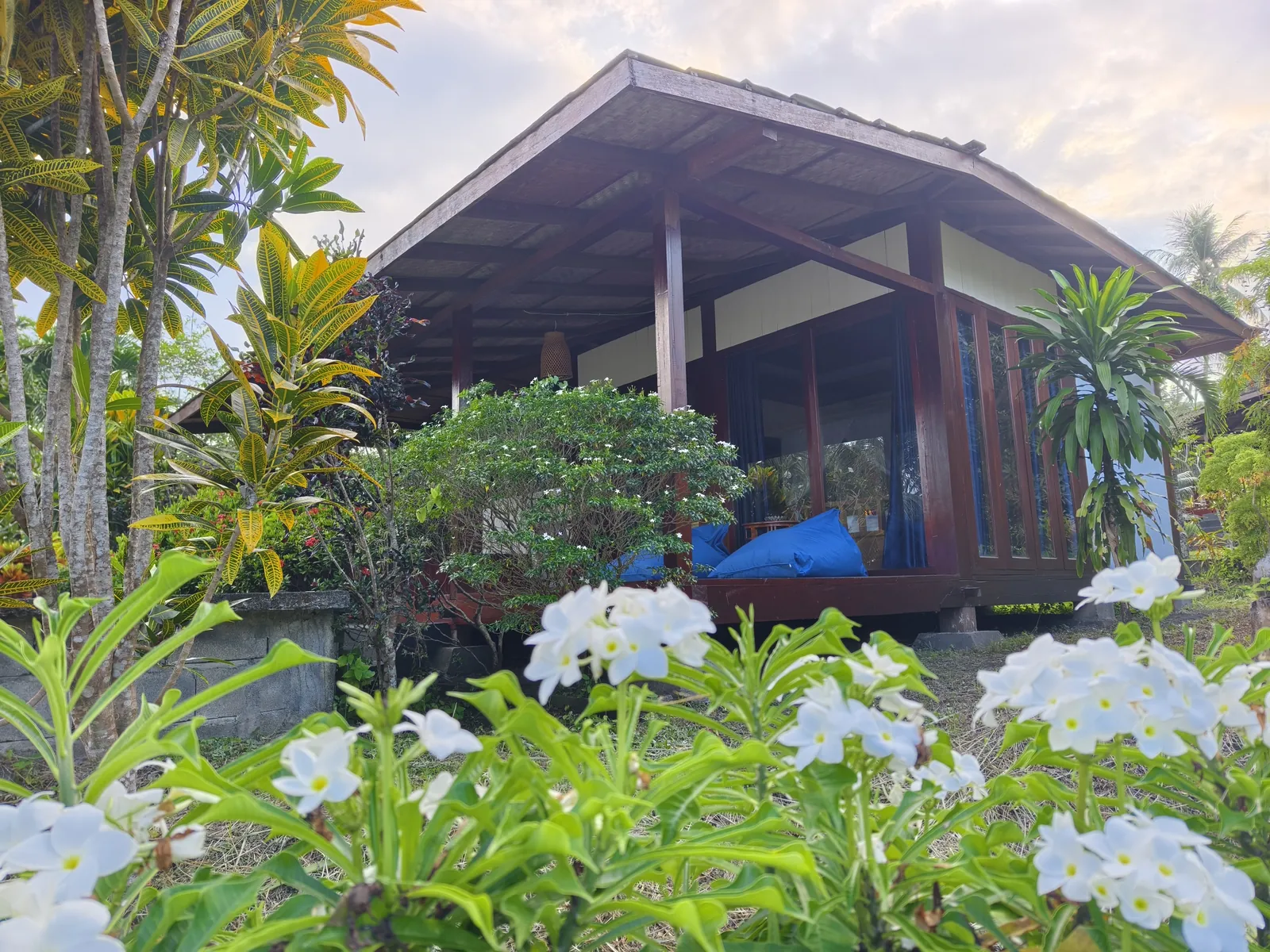 Bungalow among frangipani
