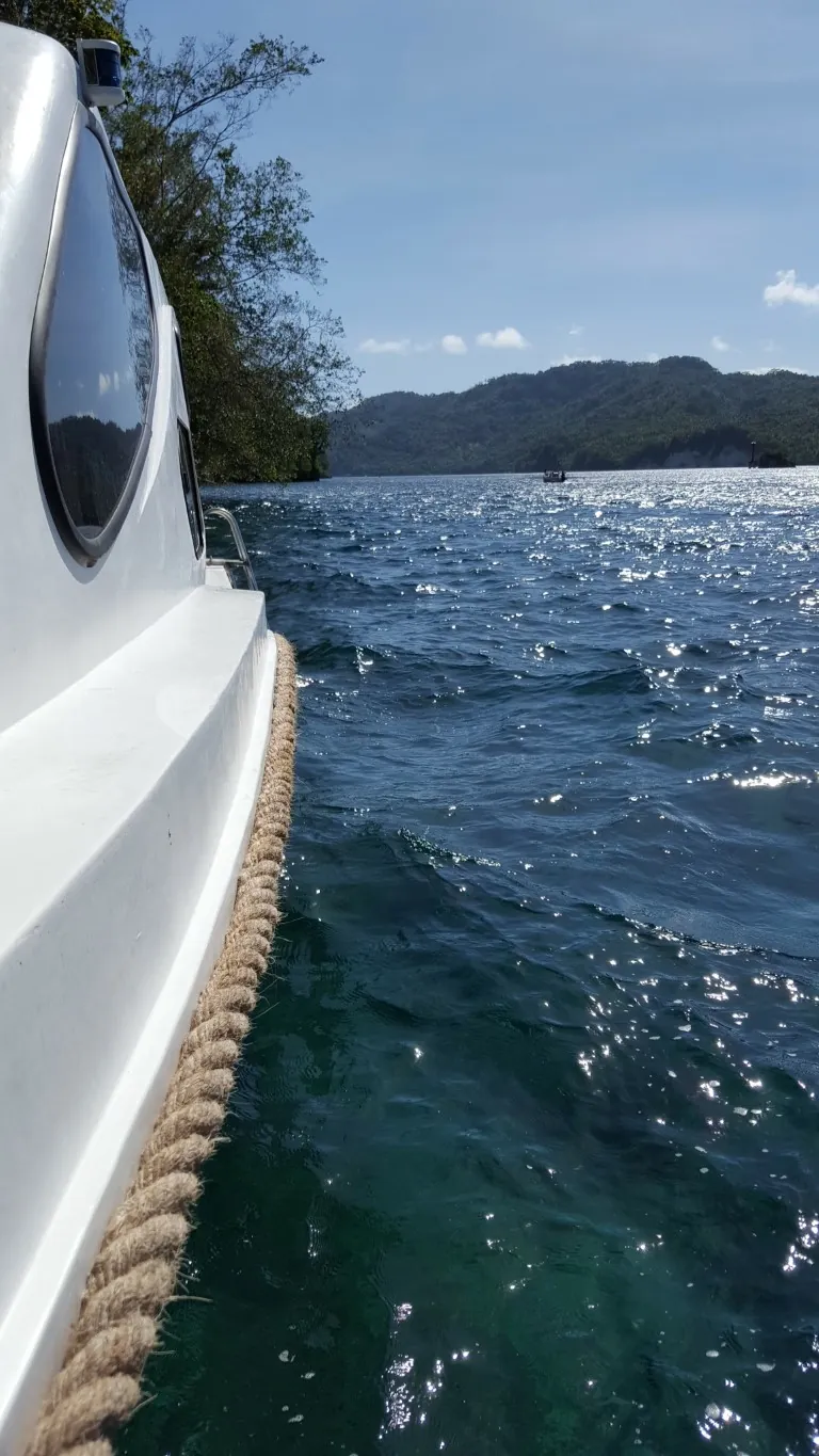 Dive boat
