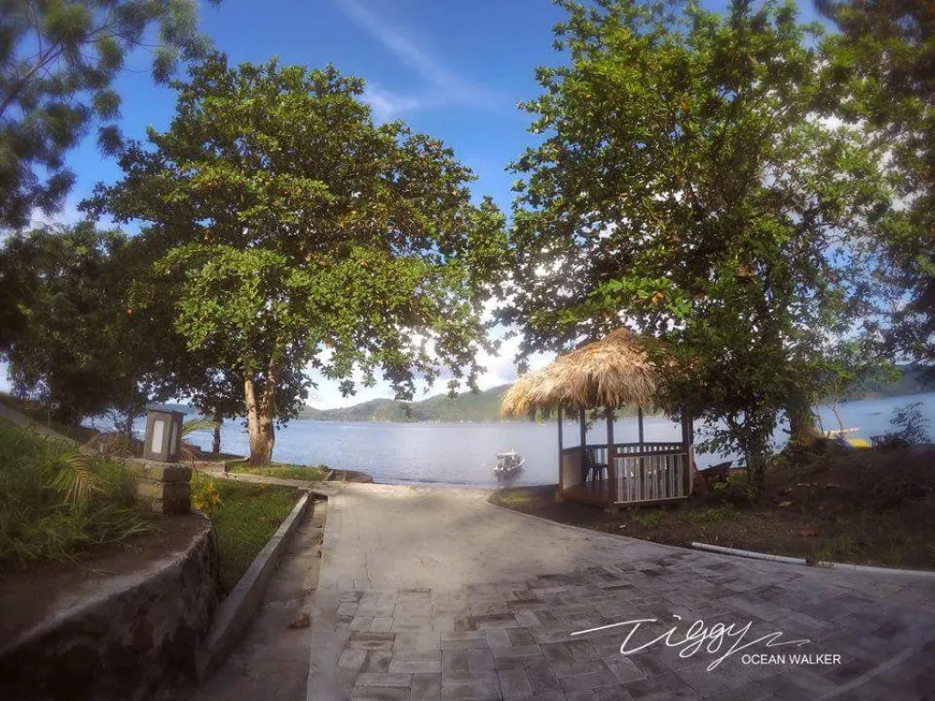 View from the dive centre